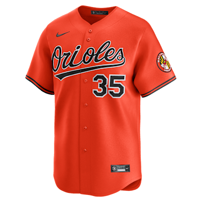 Adley Rutschman Baltimore Orioles Men's Nike Dri-FIT ADV MLB